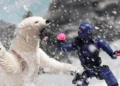 Hasbro: G.I. Joe Classified Snake Eyes and Polar Bear Review